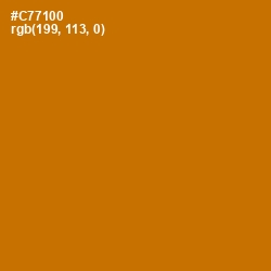 #C77100 - Indochine Color Image