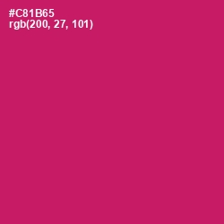 #C81B65 - Maroon Flush Color Image