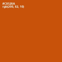#C8520A - Burnt Orange Color Image