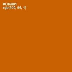 #C86001 - Indochine Color Image