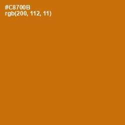 #C8700B - Indochine Color Image