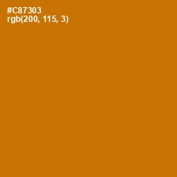 #C87303 - Indochine Color Image