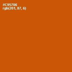 #C95706 - Burnt Orange Color Image