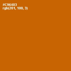 #C96403 - Indochine Color Image