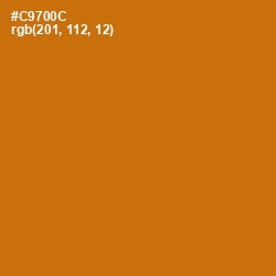 #C9700C - Indochine Color Image