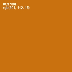 #C9700F - Indochine Color Image