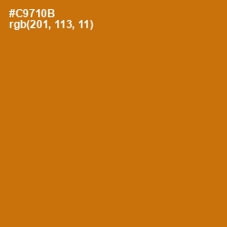 #C9710B - Indochine Color Image