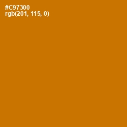 #C97300 - Indochine Color Image