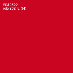 #CA0522 - Crimson Color Image