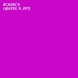 #CA06C9 - Shocking Pink Color Image