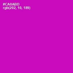 #CA0ABD - Hollywood Cerise Color Image