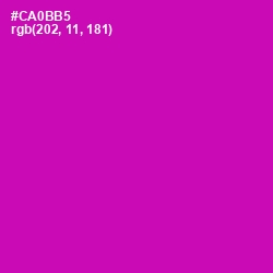 #CA0BB5 - Hollywood Cerise Color Image
