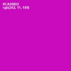 #CA0BBD - Hollywood Cerise Color Image