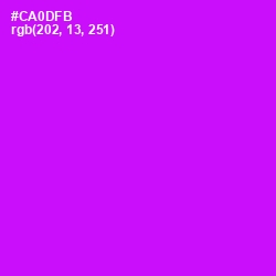 #CA0DFB - Magenta / Fuchsia Color Image