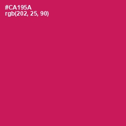 #CA195A - Maroon Flush Color Image