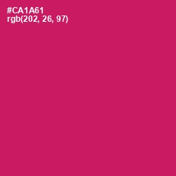 #CA1A61 - Maroon Flush Color Image