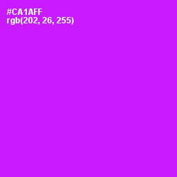 #CA1AFF - Magenta / Fuchsia Color Image