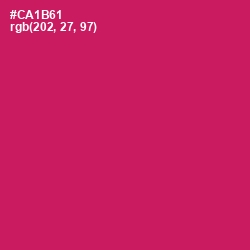 #CA1B61 - Maroon Flush Color Image