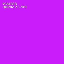 #CA1BFB - Magenta / Fuchsia Color Image