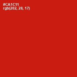 #CA1C11 - Monza Color Image