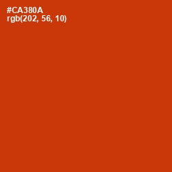 #CA380A - Thunderbird Color Image