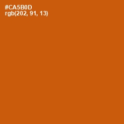 #CA5B0D - Tenn Color Image