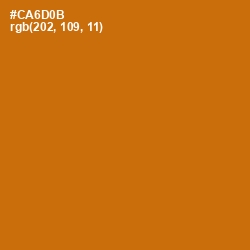 #CA6D0B - Indochine Color Image