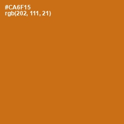 #CA6F15 - Hot Cinnamon Color Image