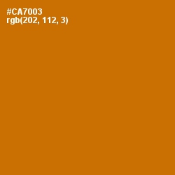 #CA7003 - Indochine Color Image