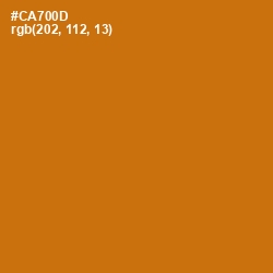 #CA700D - Indochine Color Image