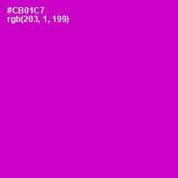 #CB01C7 - Shocking Pink Color Image