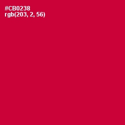 #CB0238 - Crimson Color Image