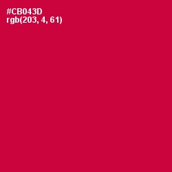 #CB043D - Crimson Color Image