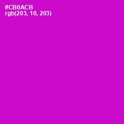 #CB0ACB - Shocking Pink Color Image