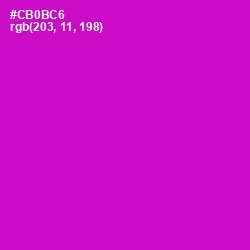 #CB0BC6 - Shocking Pink Color Image