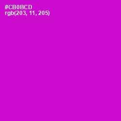 #CB0BCD - Shocking Pink Color Image