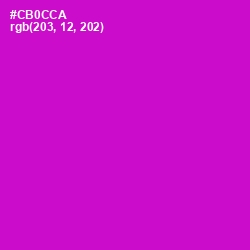 #CB0CCA - Shocking Pink Color Image