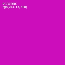 #CB0DBC - Hollywood Cerise Color Image