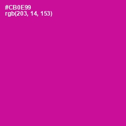 #CB0E99 - Red Violet Color Image