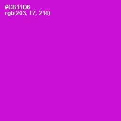 #CB11D6 - Shocking Pink Color Image