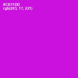 #CB11DD - Shocking Pink Color Image