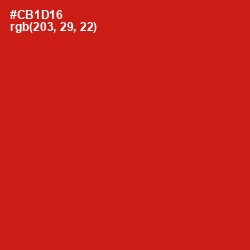 #CB1D16 - Monza Color Image
