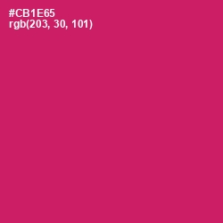 #CB1E65 - Cerise Red Color Image