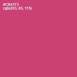 #CB4173 - Cabaret Color Image