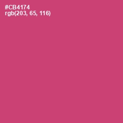 #CB4174 - Cabaret Color Image