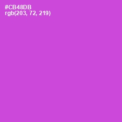 #CB48DB - Fuchsia Pink Color Image