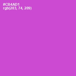 #CB4AD1 - Fuchsia Pink Color Image