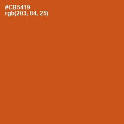 #CB5419 - Orange Roughy Color Image