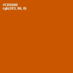 #CB5600 - Burnt Orange Color Image