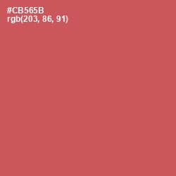 #CB565B - Chestnut Rose Color Image